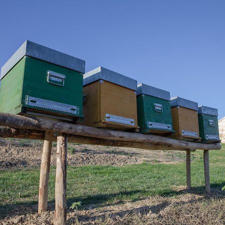 הוילה Montafia Cascina Rueral מראה חיצוני תמונה